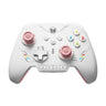 BIGBIG WON Rainbow 2 SE Gaming Controller