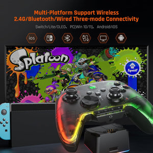 BIGBIG WON Rainbow2 Pro Combo Wireless Switch Controllers